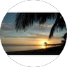 Customer Profile Pic